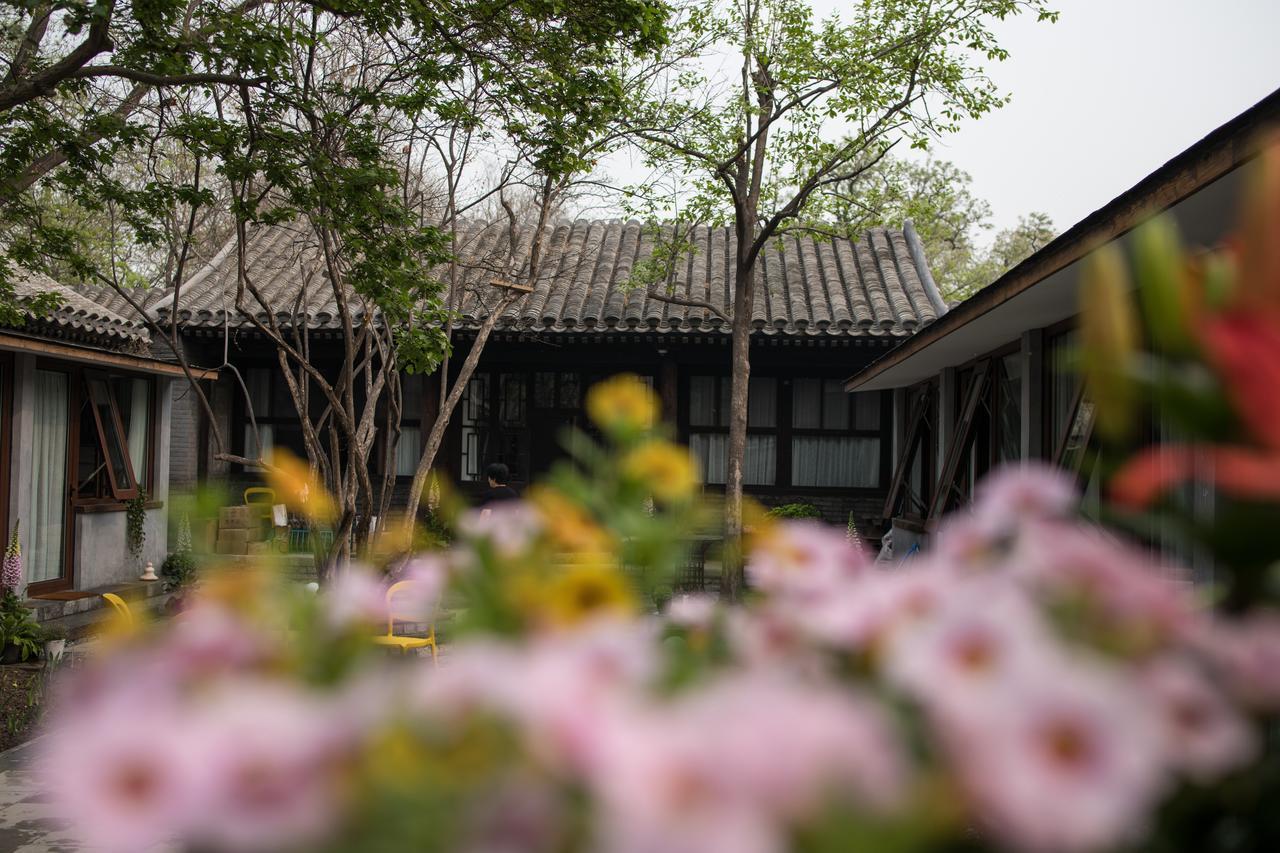 Courtyard Guesthouse, Pekin Zewnętrze zdjęcie