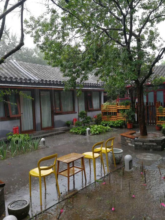 Courtyard Guesthouse, Pekin Zewnętrze zdjęcie